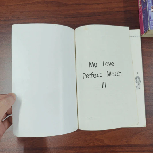 My Love Perfect Match ขายรวม 5 เล่ม - My Lady Ping รูปที่ 16