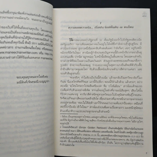 เล่ห์พิศวาสจอมมาร - มณีจันท์ รูปที่ 7
