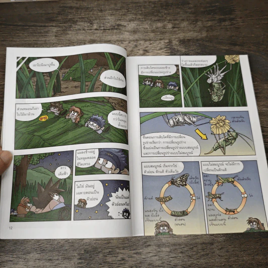 เอาชีวิตรอดในอาณาจักรแมลง เล่ม 2 รูปที่ 9