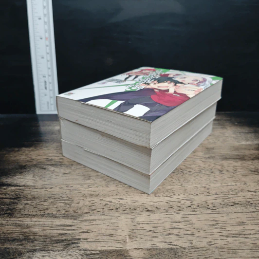 ผู้กล้าซึนซ่าส์กับจอมมารสู้ชีวิต เล่ม 1-3 รูปที่ 3
