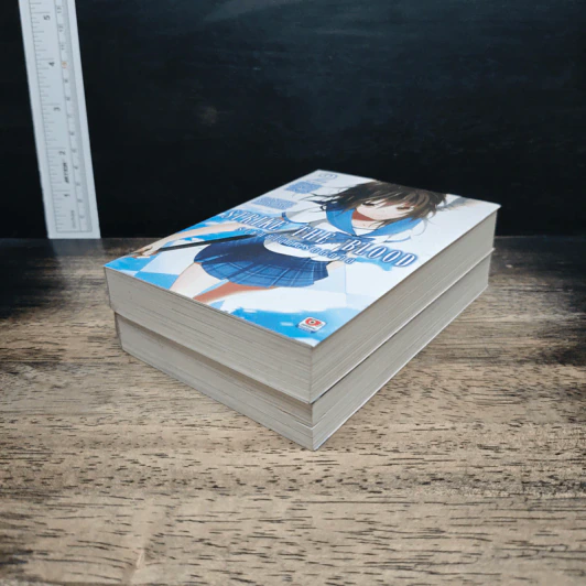 Strike The Blood ราชันย์โลหิตรัตติกาล เล่ม 1-2 รูปที่ 4