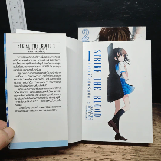 Strike The Blood ราชันย์โลหิตรัตติกาล เล่ม 1-2 รูปที่ 6