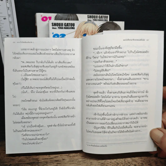 Amagi Brilliant Park ปฎิบัติการพลิกวิกฤตสวนสนุก เล่ม 1-3 รูปที่ 8