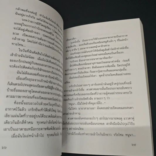 แสงตะวันในสายหมอก รูปที่ 9