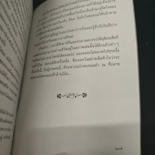 แสงตะวันในสายหมอก รูปที่ 10
