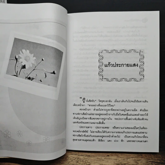 คืนสว่าง รูปที่ 8