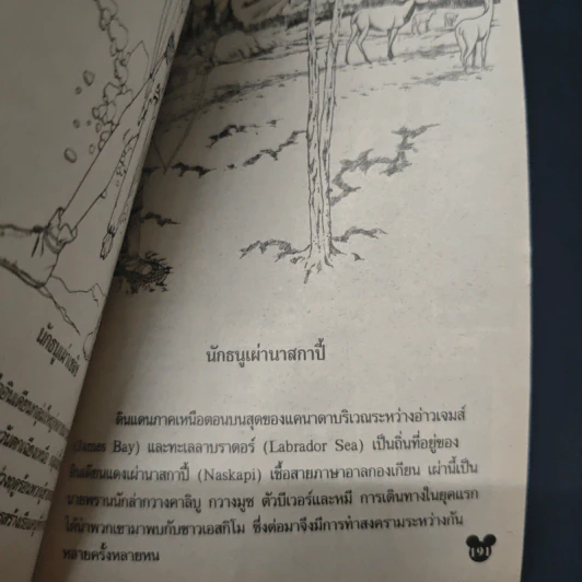 มิคกี้และสหาย ฉบับที่ 230 รูปที่ 8