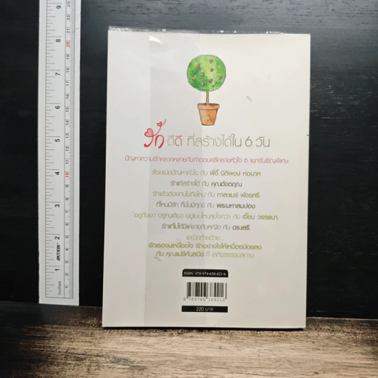 รักดีดี ที่สร้างได้ใน 6 วัน - ดีเจนภาพร, ดีเจพี่ฉอด รูปที่ 2