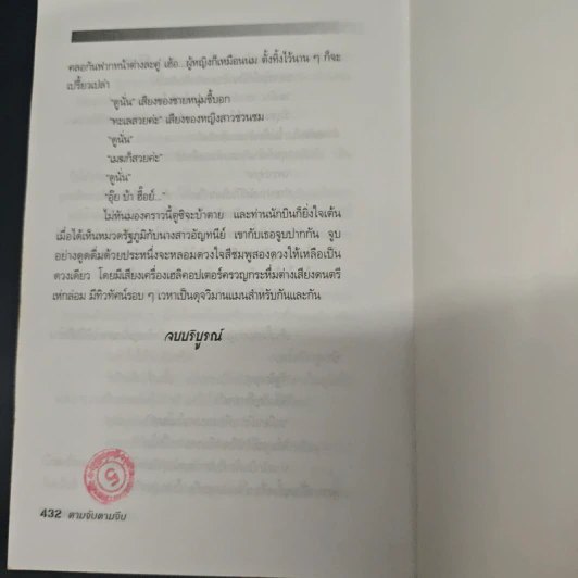 ตามจับตามจีบ รูปที่ 8