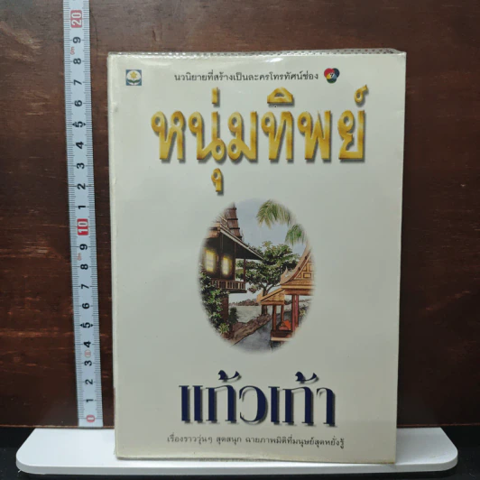 หนุ่มทิพย์ รูปที่ 1