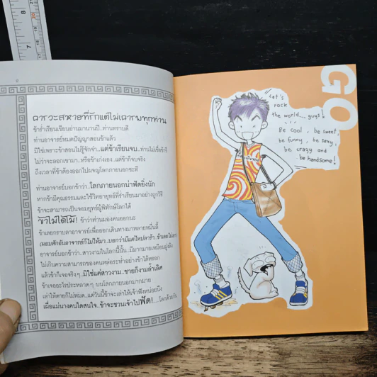 หล่อฟัดโลก No.10 รูปที่ 6