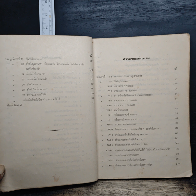บทปฏิบัติการ กีฏวิทยาเบื้องต้น - สุธรรม จาริกุล รูปที่ 8