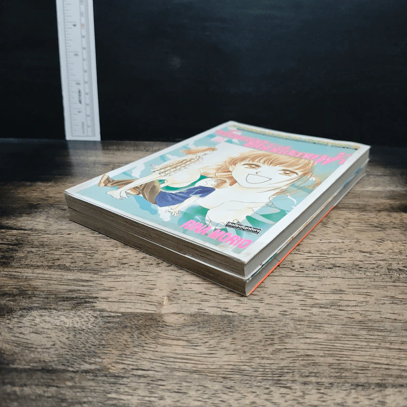 จะโอบกอดเธอไว้ที่ปลายฟ้า 2 เล่มจบ รูปที่ 4