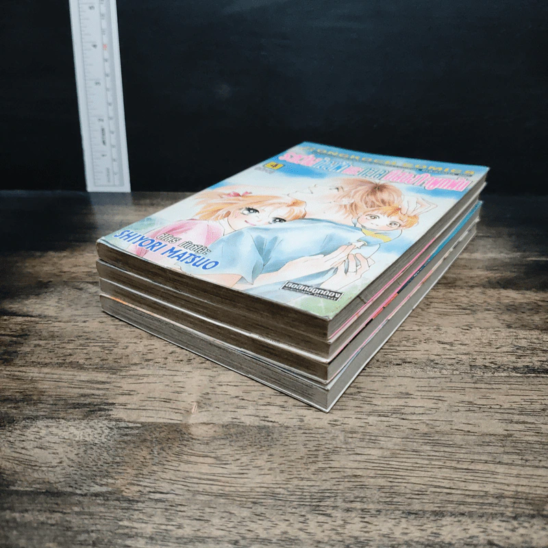ระหว่างท้องฟ้าและทะเลมีสองใจผูกพัน 4 เล่มจบ รูปที่ 3