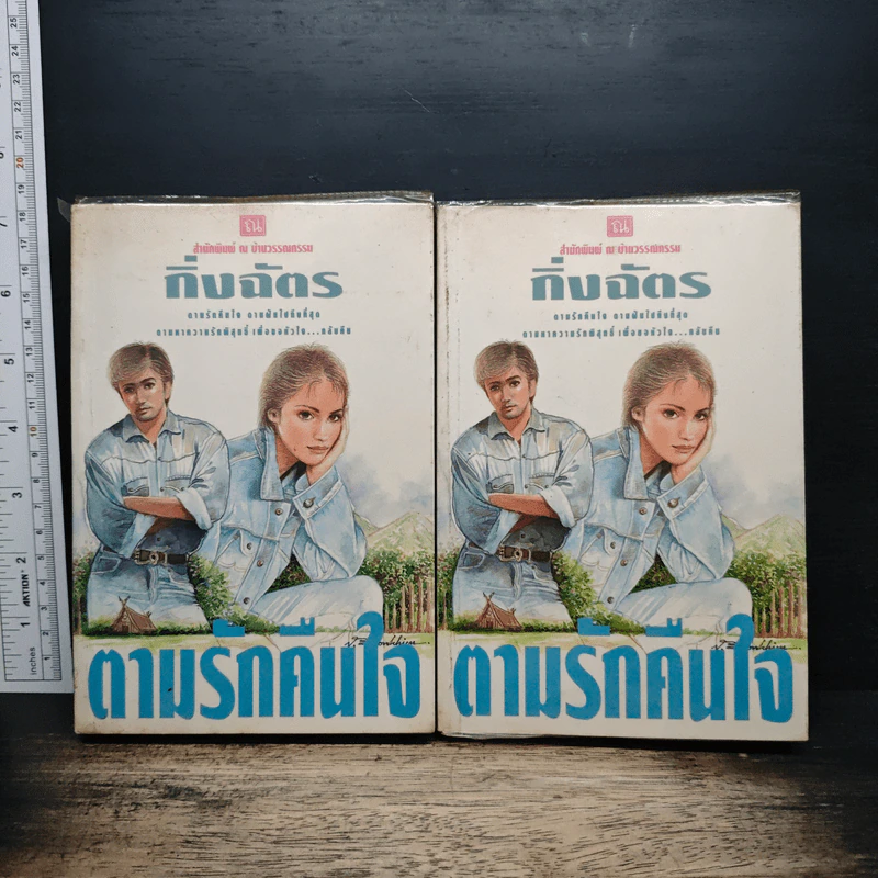 ตามรักคืนใจ - กิ่งฉัตร รูปที่ 1