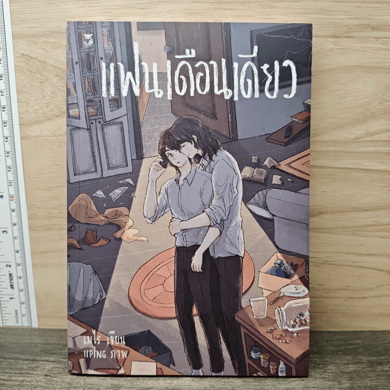 แฟนเดือนเดียว - เมไร รูปที่ 1