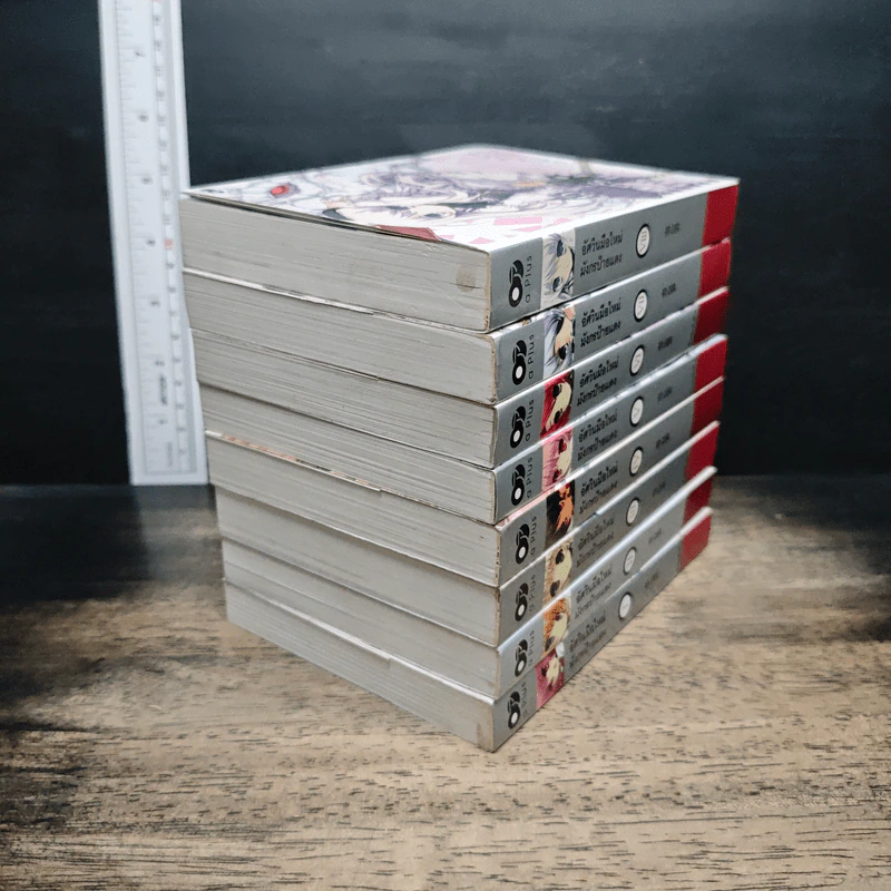 อัศวินมือใหม่ มังกรป้ายแดง เล่ม 1-8 รูปที่ 4