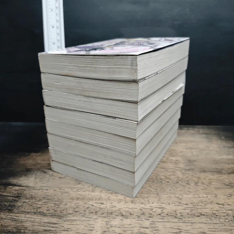 อัศวินมือใหม่ มังกรป้ายแดง เล่ม 1-8 รูปที่ 3