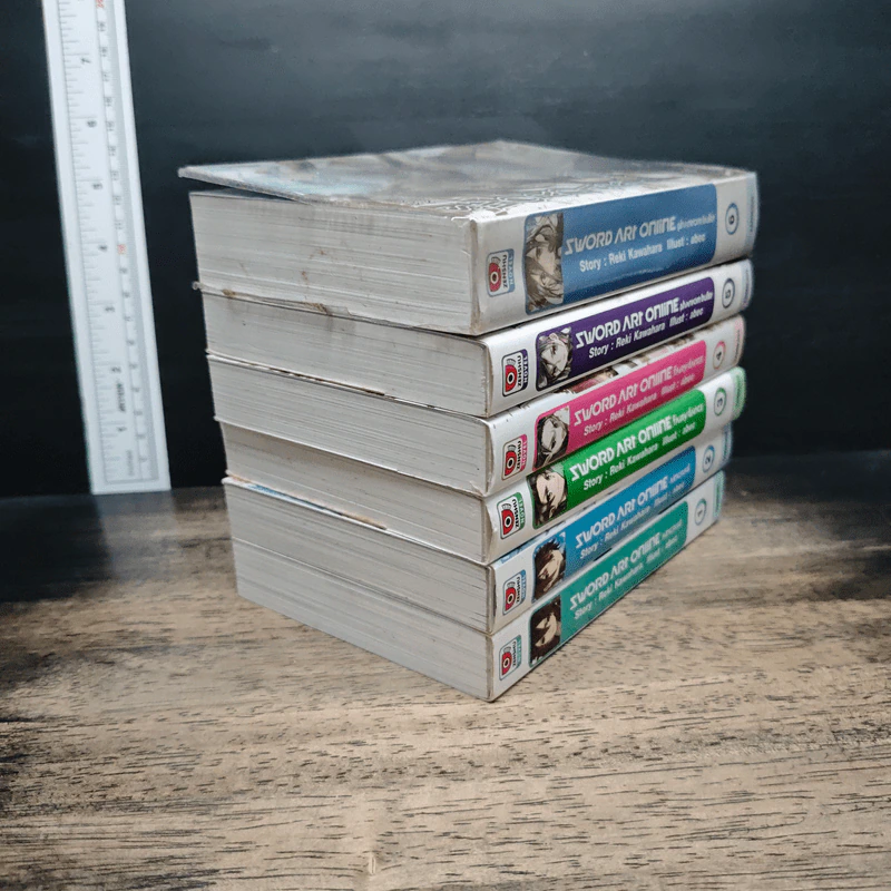 Sword Art Online เล่ม 1-6 รูปที่ 4