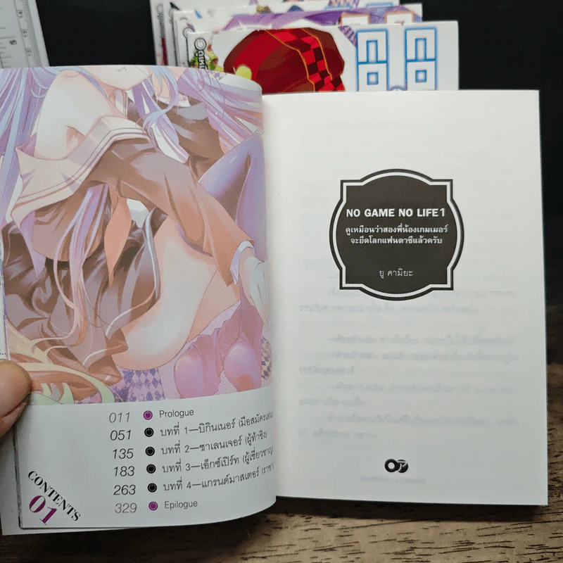 โนเกม โนไลฟ์ No Game No Life เล่ม 1-6 รูปที่ 6