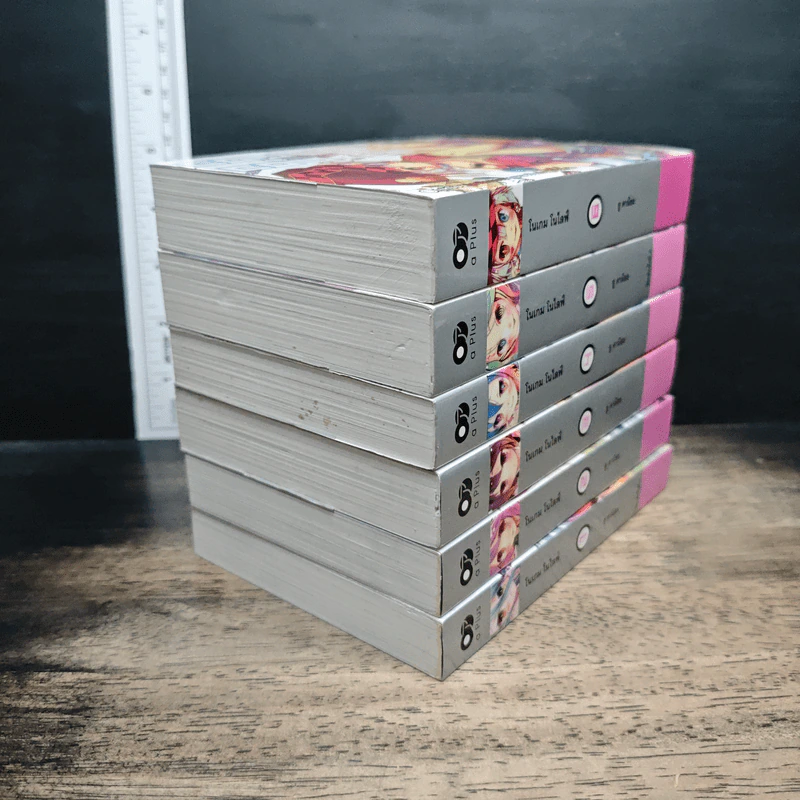 โนเกม โนไลฟ์ No Game No Life เล่ม 1-6 รูปที่ 4