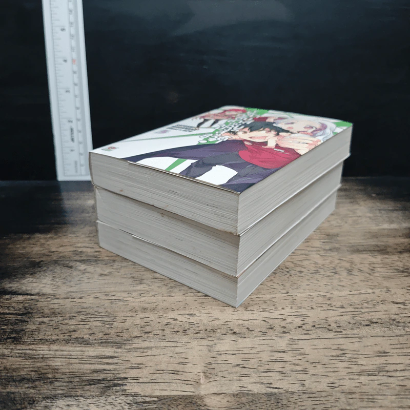 ผู้กล้าซึนซ่าส์กับจอมมารสู้ชีวิต เล่ม 1-3 รูปที่ 3