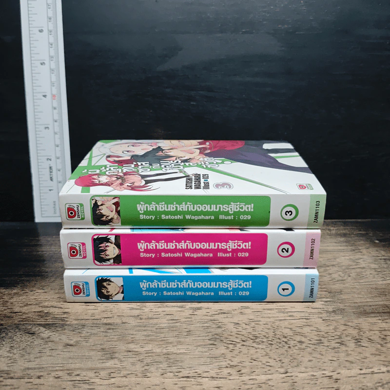 ผู้กล้าซึนซ่าส์กับจอมมารสู้ชีวิต เล่ม 1-3 รูปที่ 2