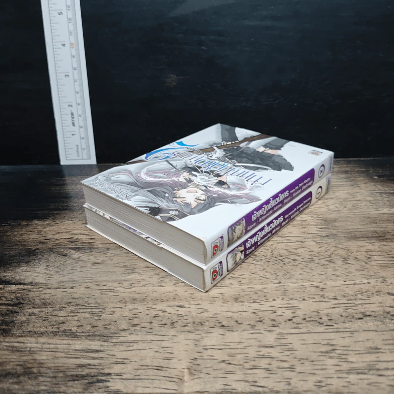 เจ้าหญิงเสี้ยวมังกร เล่ม 1-2 รูปที่ 5