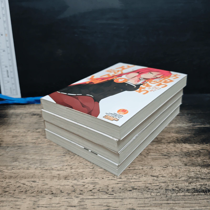 พี่แล้วทำไม ถ้าใจอยากจะรัก เล่ม 1-4 รูปที่ 3