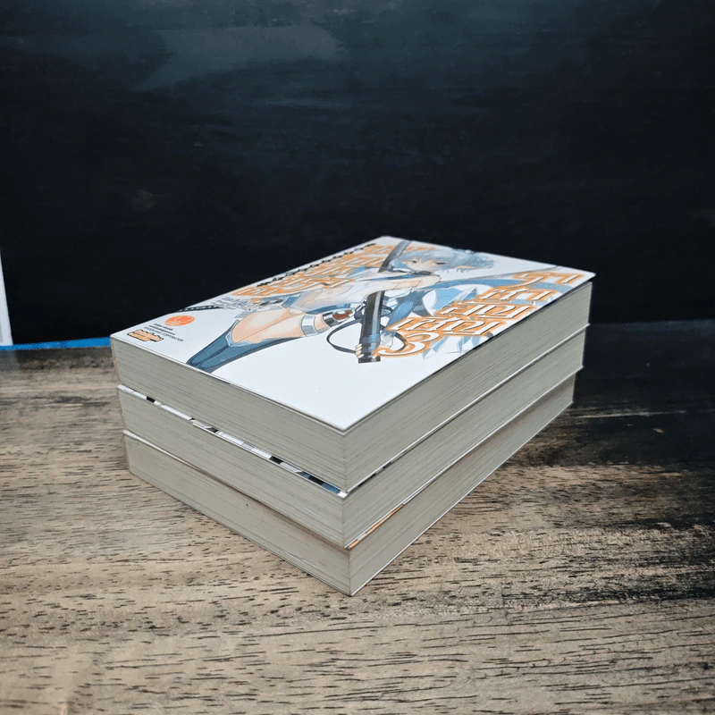 จอมดาบมนตรากับราชาอัญเชิญ เล่ม 1-3 - Misuki Mihara รูปที่ 3