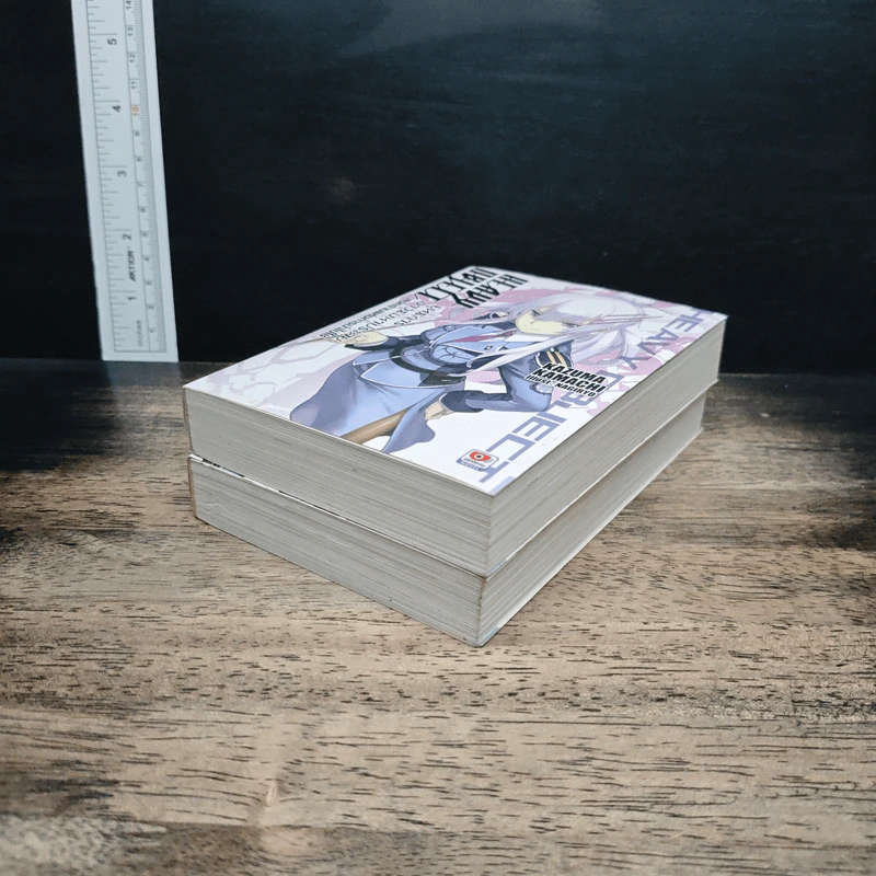 HEAVY OBJECT ยุทธการอาวุธมหาประลัย เล่ม 1-2 รูปที่ 4
