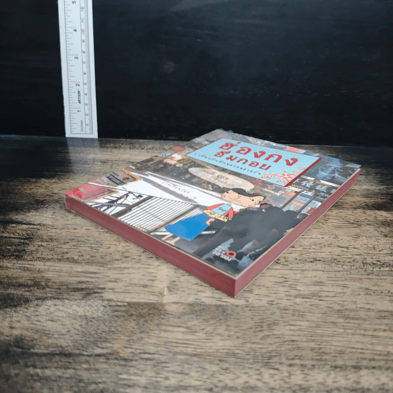 ฮ่องกงอึ่มกอย 7 เดือนกับอีกหลายหลายวัน - ม.ย.ร.มะลิ รูปที่ 4