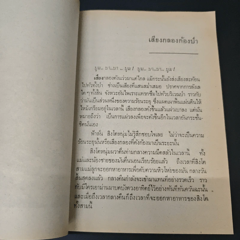 ตามล่า! ชีวิตการผจญภัยของสิงห์หนุ่ม รูปที่ 7