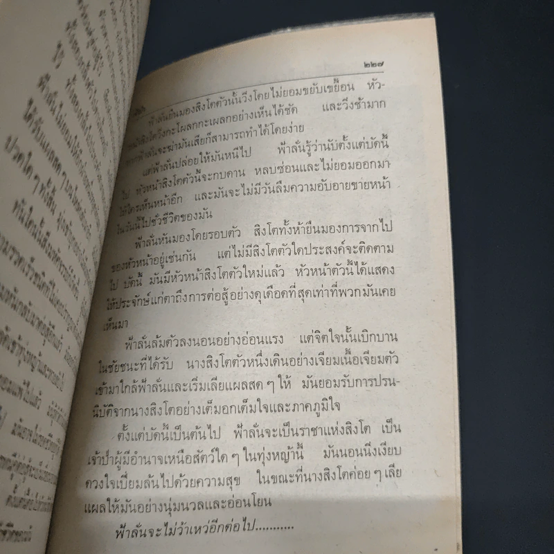 ตามล่า! ชีวิตการผจญภัยของสิงห์หนุ่ม รูปที่ 9