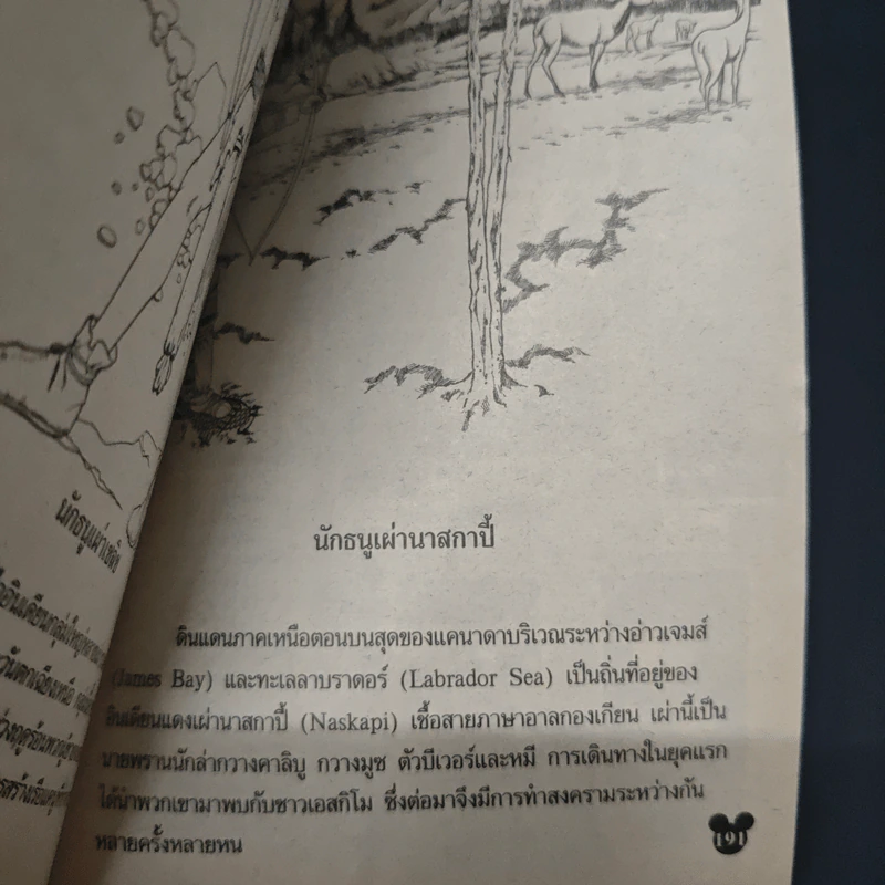 มิคกี้และสหาย ฉบับที่ 230 รูปที่ 8