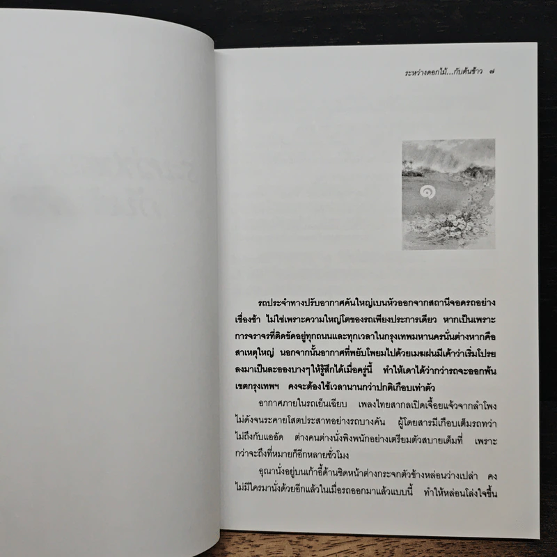 ระหว่างดอกไม้...กับต้นข้าว - ว.วินิจฉัยกุล รูปที่ 7