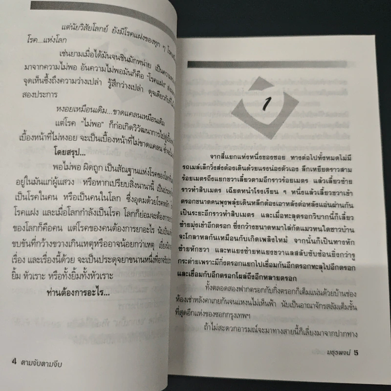 ตามจับตามจีบ รูปที่ 6