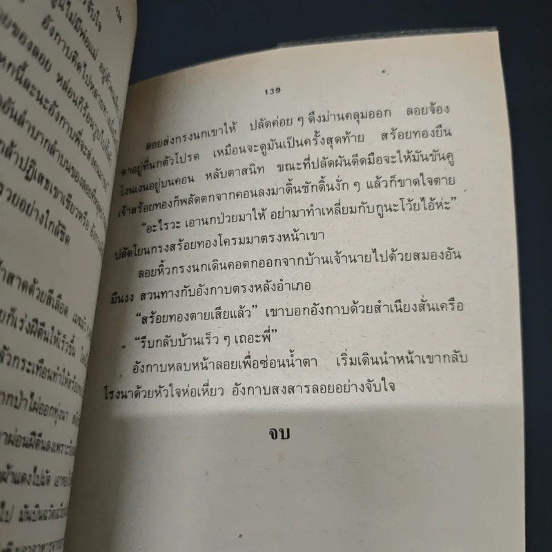 สร้อยทอง - นิมิตร ภูมิถาวร รูปที่ 9