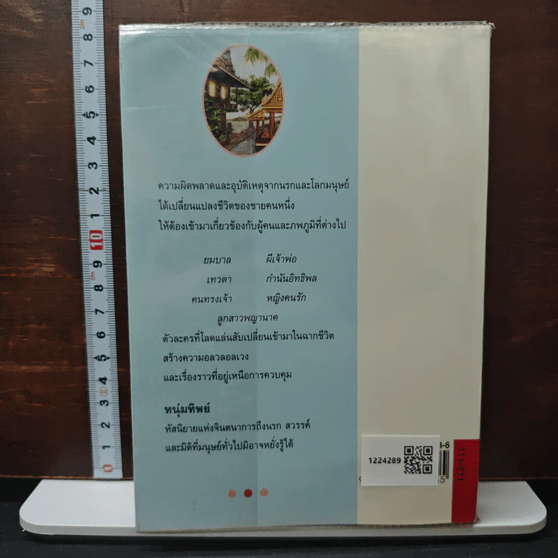 หนุ่มทิพย์ รูปที่ 2