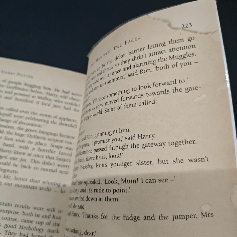 Harry Potter and the Philosopher's Stone รูปที่ 9