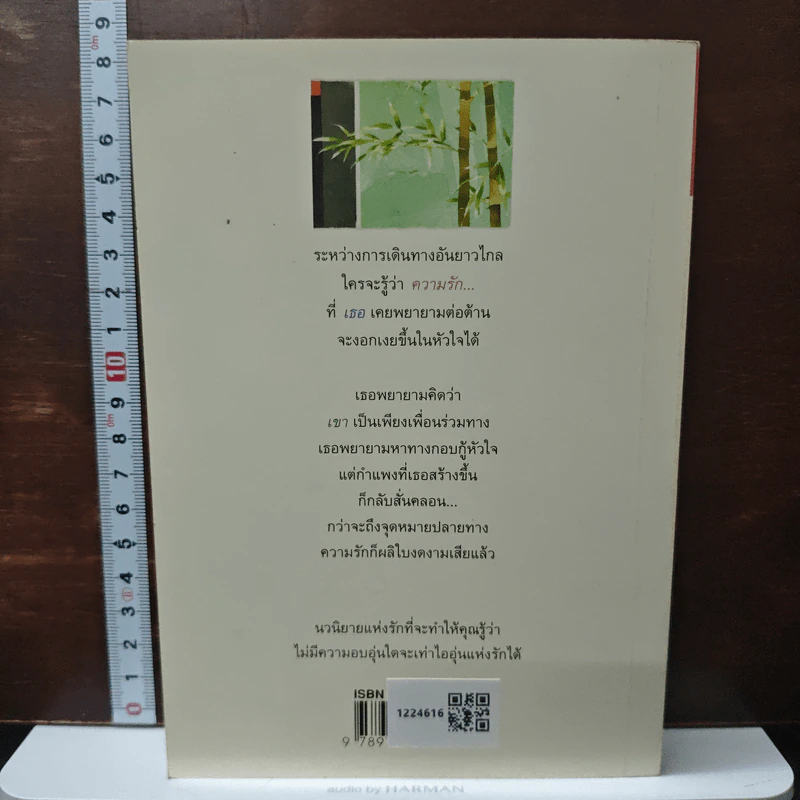 กิ่งไผ่-ใบรัก - ปิยะพร ศักดิ์เกษม รูปที่ 2