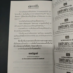 ดอกฟ้ากับเทวดาเดินดิน รูปที่ 9