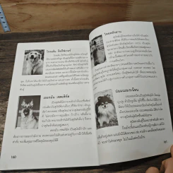 บราวนี่ คุณตูบยอดอัศวิน ภาคโลกสุนัข (Dog World) เล่ม 1 - พ่อมดน้อย รูปที่ 9