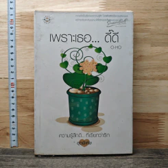 หนังสือ เพราะเธอ...ดี๊ดี
