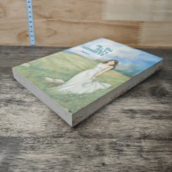 หนังสือ ณ วันที่ฟ้าเชื่อมดาว รูปที่ 3
