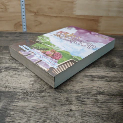 เสน่หาวิวาห์ลวง - มนต์มาส รูปที่ 3
