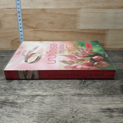 หนังสือ นางบำเรอตีทะเบียน รูปที่ 2