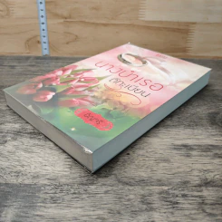 หนังสือ นางบำเรอตีทะเบียน รูปที่ 3