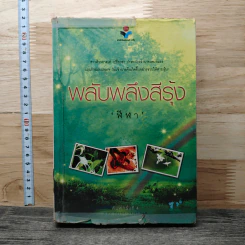 พลับพลึงสีรุ้ง