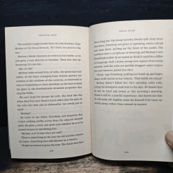 Dark Winter - David Mark รูปที่ 8
